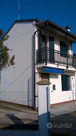 Vileta s schiera