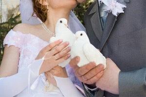 Coppia colombe bianche per matrimoni