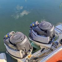 Coppia Motori Johnson/Suzuki 90 CV 4 tempi