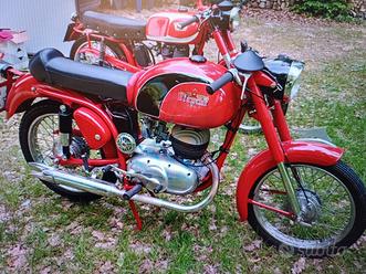 1958 Parilla Moto Parilla 175 In Vendita PArilla 175 Fox 1954
