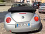 Immagine 15