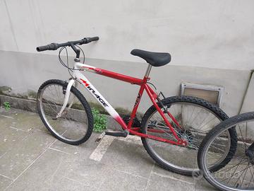 Bici MTB