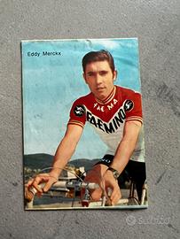 Adesivo Eddie Merckx ciclismo vintage