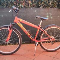 bicicletta  MTB da ragazzo 12/15 anni
