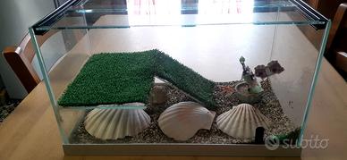 Acquario per tartarughe 