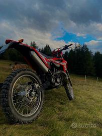 Beta RR 50 2023