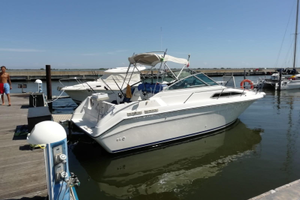 Sea Ray 25 sun dancer