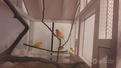 Voliera gabbia artigianale in legno