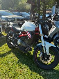 Benelli 302s 2021