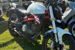 Benelli 302s 2021