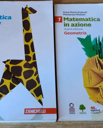 Matematica in azione 1