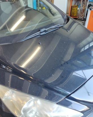 Cofano PEUGEOT 308 del 2009
