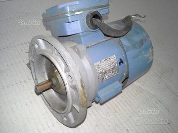 Motore elettrico "elektrim"