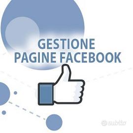 Pacchetto web marketing - social media manager