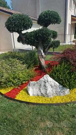 Corteccia sintetica colorata per giardino