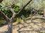 Immagine 23