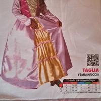 vestito carnevale principessa delle Fiabe 