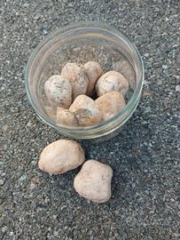 Sassi decorativi (marmo rosa)