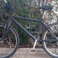 bicicletta