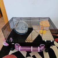 gabbia praticamente nuova 