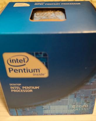 Intel® Pentium® Processor G2020