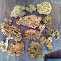 Rocce marine naturali 