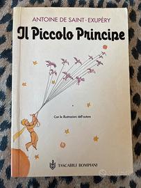 Libro Il piccolo principe