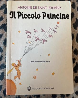Libro Il piccolo principe