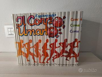 Collezione "Esplorando il corpo umano"