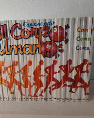 Collezione "Esplorando il corpo umano"