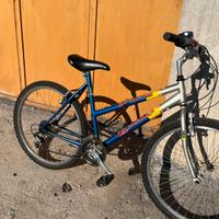 Bicicletta mtb donna ruota 26 pollici