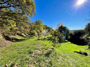TER. AGRICOLO A CAPRINO VERONESE