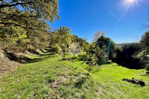 TER. AGRICOLO A CAPRINO VERONESE