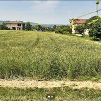 Terreni agricoli con fabbricato - Dogliani