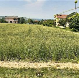 Terreni agricoli con fabbricato - Dogliani