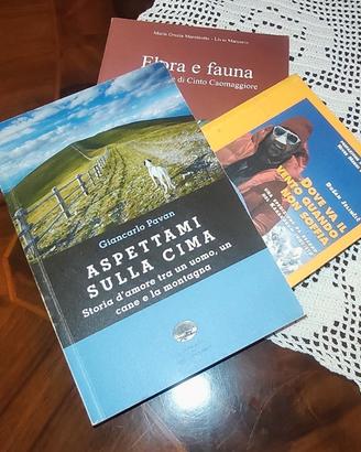 Libri montagna Dolomiti alpinismo