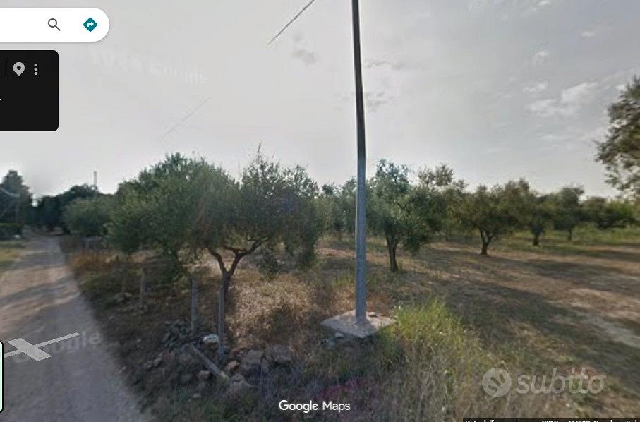 Terreno edificabile zona vergine mesagne - Vista 4