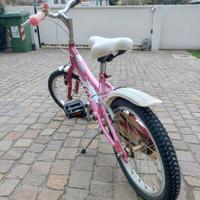 Bici raggio 20