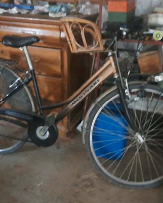 bici donna / bici bimba