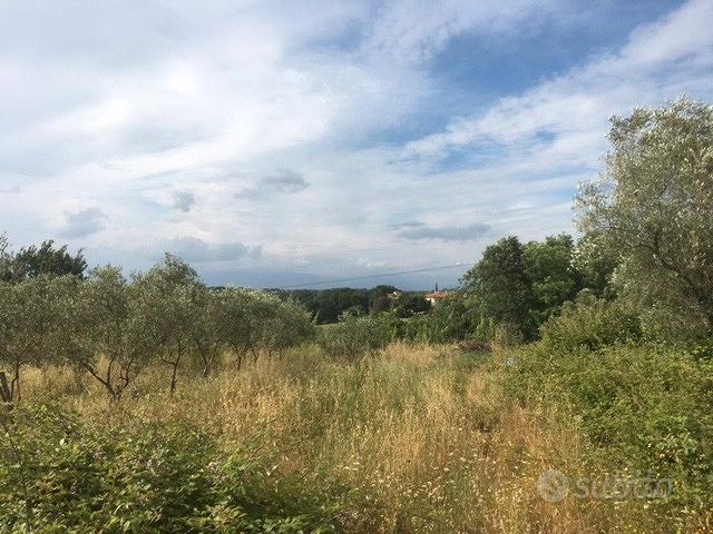 Terreno agricolo a Montecalvoli ( PI ) - Vista 2