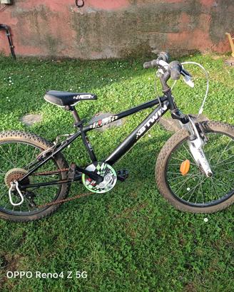 Bicicletta bimbo 