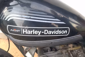 AMF 250 