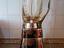 Immagine 5