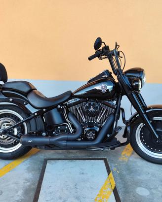 Harley-davidson FLSTF Fat Boy Special 1584