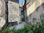 Immagine 7