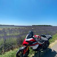 Multistrada 1200 pikes peak - 2017