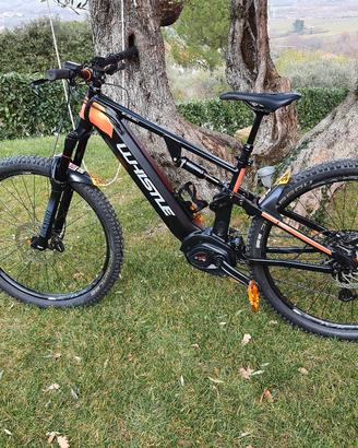 ebike Whisthle b-rush A8.1