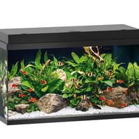 acquario juwel 110L primo 