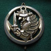 Fregi militari: Paracadutisti di Marina (Francia)