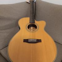 Acustica Elettrificata Liuteria Manne AS 2006